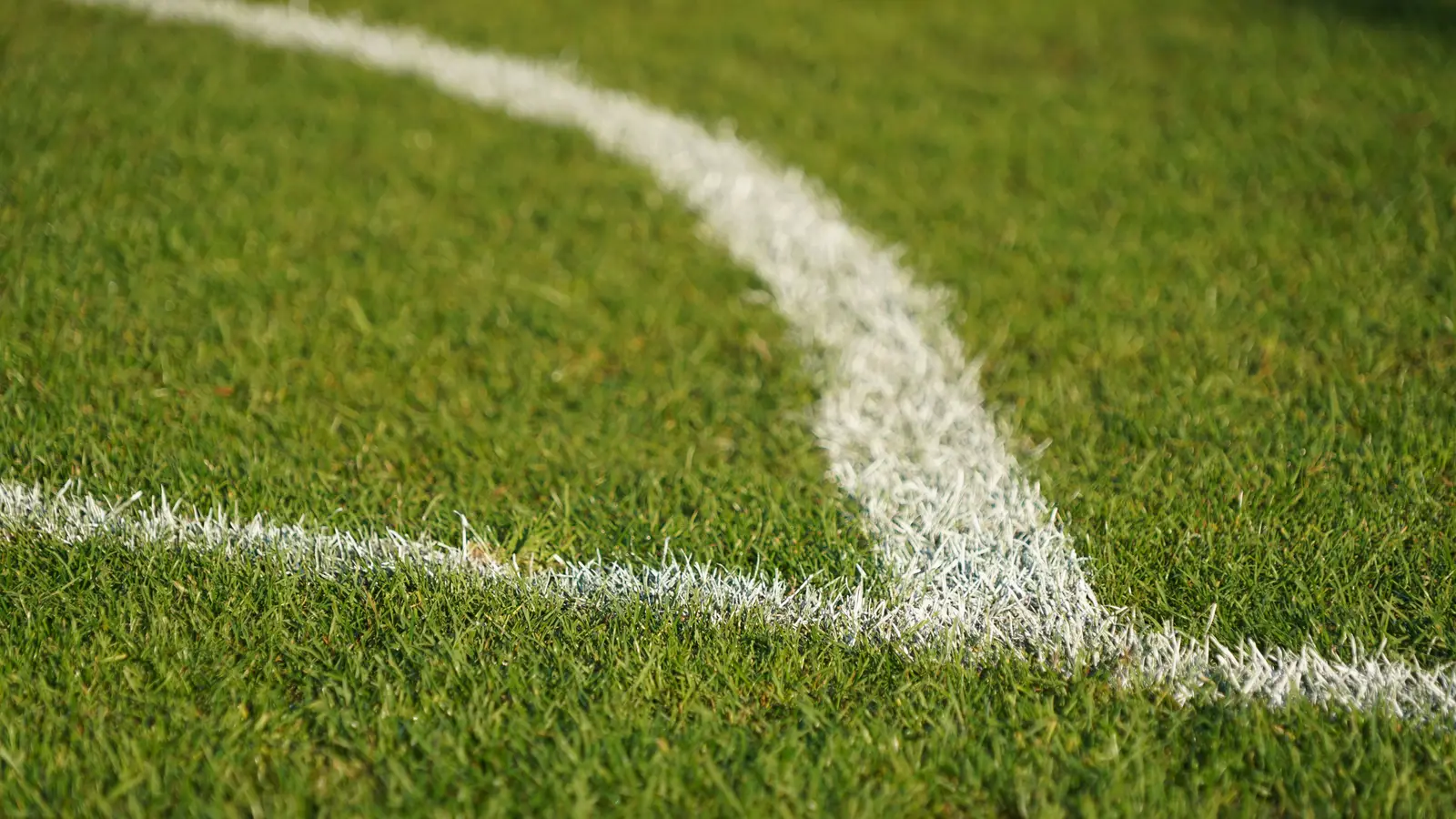 Close-up of a white corner arc painted on a grass football pitch